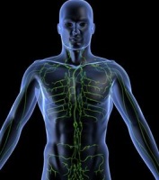 Vpliv masaže na limfni sistem